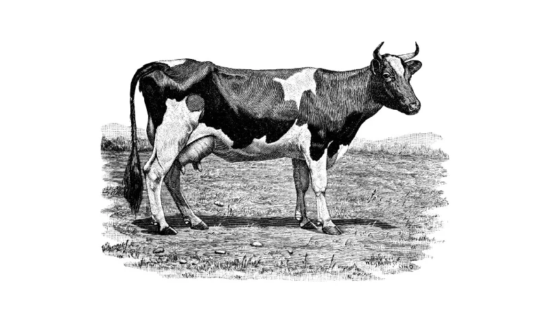 服务器命令指南